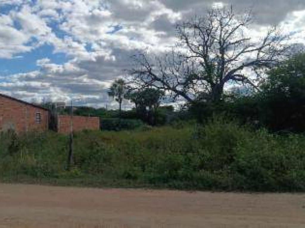 Foto 1 de 10: Terreno em leilão em Cajazeiras - PB, bairro Dom Zacarias Rua de Moura — Terreno 393 m² - Dom Zacarias R. de Moura - Cajazeiras - PB