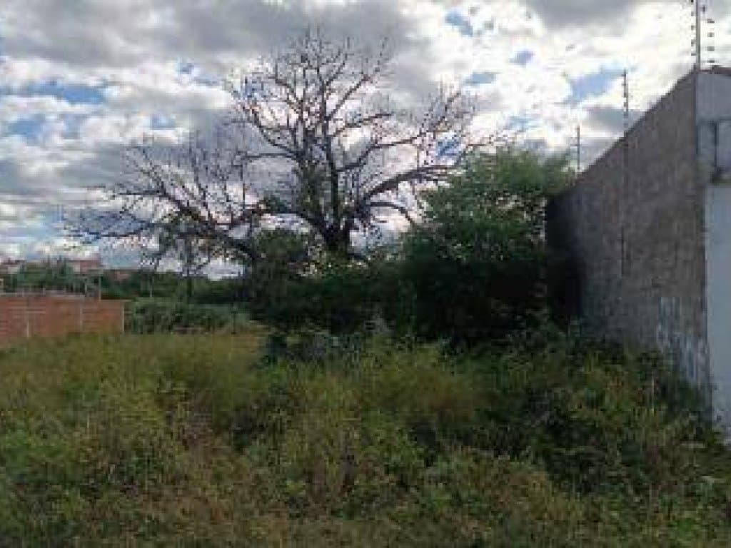 Foto 2 de 10: Terreno em leilão em Cajazeiras - PB, bairro Dom Zacarias Rua de Moura — Terreno 393 m² - Dom Zacarias R. de Moura - Cajazeiras - PB