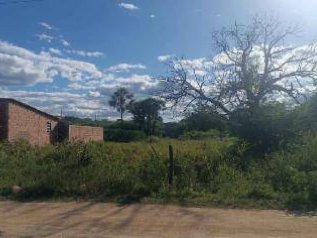 Foto 3 de 10: Terreno em leilão em Cajazeiras - PB, bairro Dom Zacarias Rua de Moura — Terreno 393 m² - Dom Zacarias R. de Moura - Cajazeiras - PB