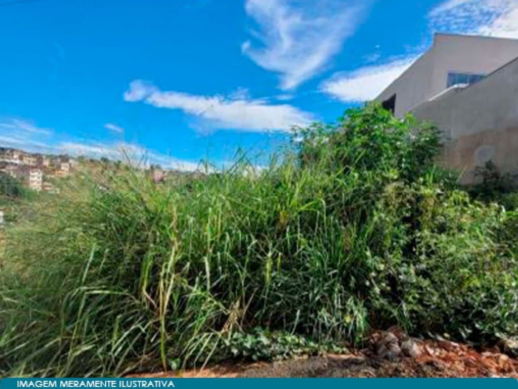 Foto 2 de 2: Terreno em leilão em Muriaé - MG — Terreno 420 m² - Quinta das Flores - Muriaé - MG