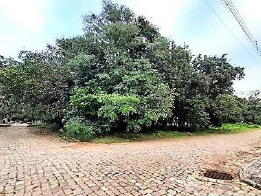 Foto 3 de 8: Terreno em leilão em Passo Fundo - RS, bairro Vila Lucas Araújo — Terreno 528 m² - Vila Lucas Araújo - Passo Fundo - RS