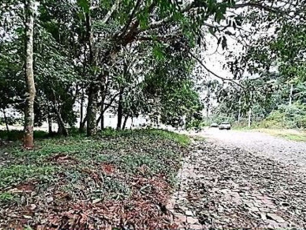 Foto 5 de 8: Terreno em leilão em Passo Fundo - RS, bairro Vila Lucas Araújo — Terreno 528 m² - Vila Lucas Araújo - Passo Fundo - RS