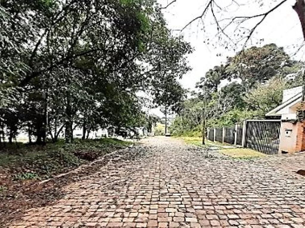 Foto 7 de 8: Terreno em leilão em Passo Fundo - RS, bairro Vila Lucas Araújo — Terreno 528 m² - Vila Lucas Araújo - Passo Fundo - RS