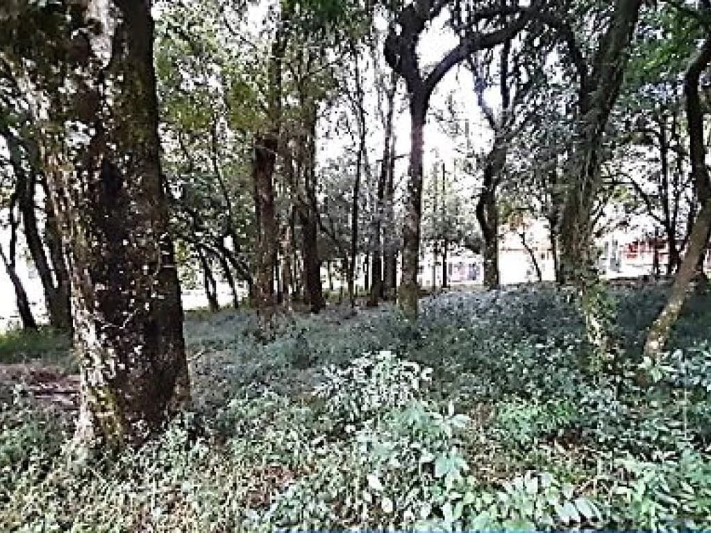Foto 4 de 8: Terreno em leilão em Passo Fundo - RS, bairro Vila Lucas Araújo — Terreno 528 m² - Vila Lucas Araújo - Passo Fundo - RS