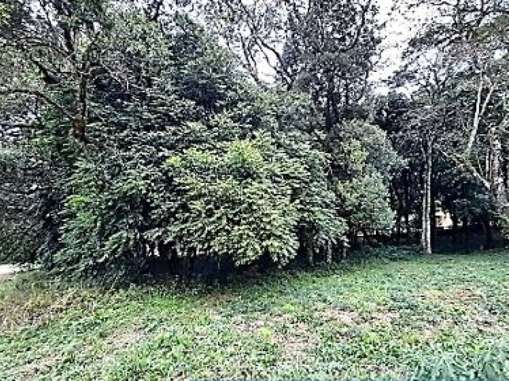Foto 2 de 8: Terreno em leilão em Passo Fundo - RS, bairro Vila Lucas Araújo — Terreno 528 m² - Vila Lucas Araújo - Passo Fundo - RS