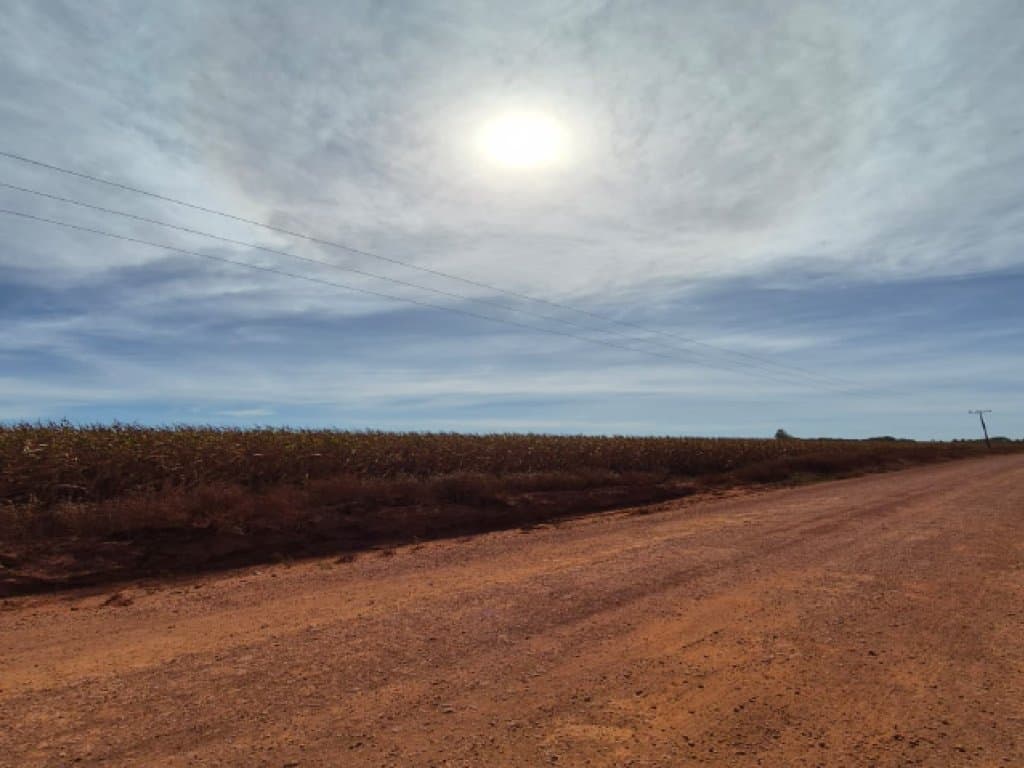 Foto 4 de 6: Area Rural em leilão em Ipiranga Do Norte - MT — Imóvel Rural 81 ha (Sítio São Pedro) - Ipiranga do Norte - MT