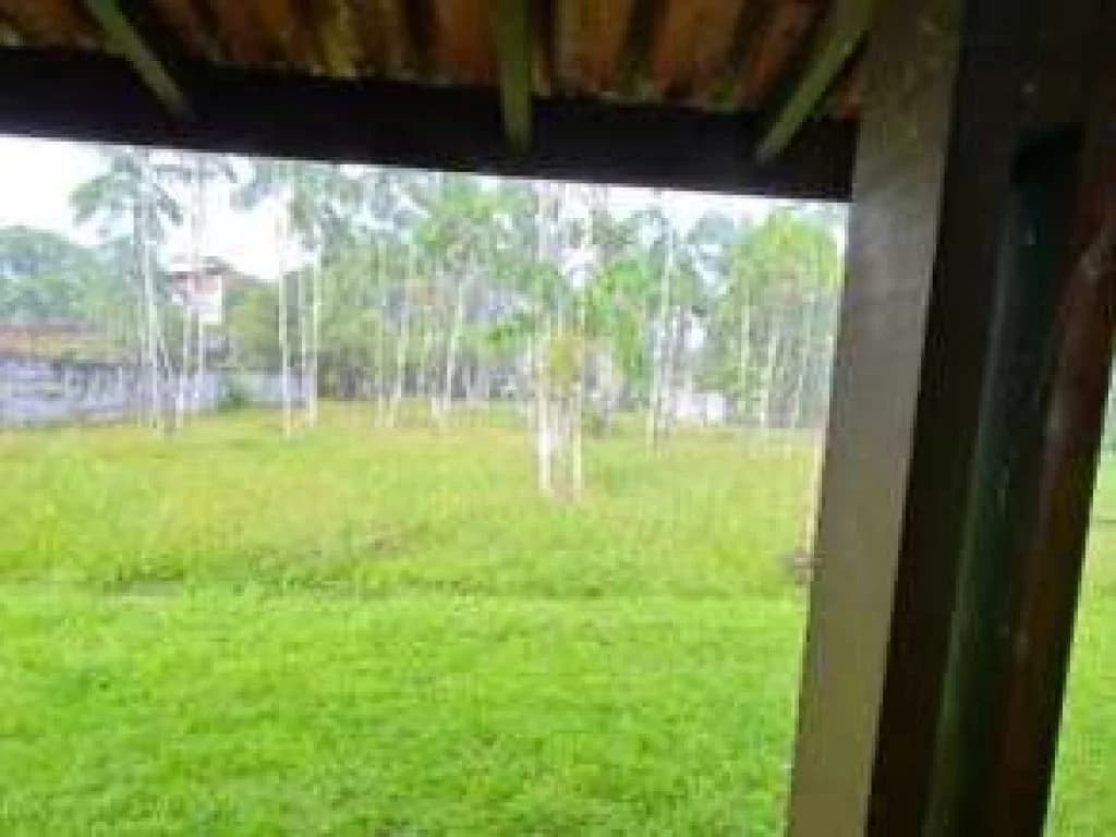 Foto 8 de 9: Terreno em leilão em Marituba - PA, bairro Centro — Área com 1,88 ha (com construções) - Centro - Marituba - PA
