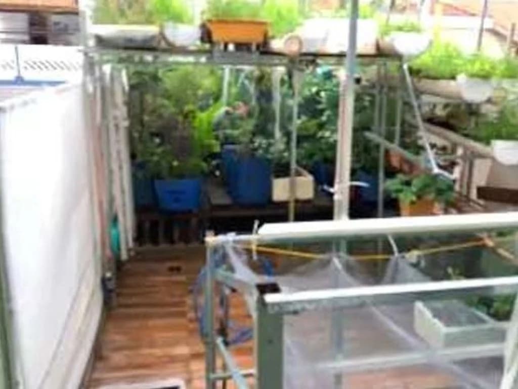 Foto 10 de 10: Casa em leilão em São Paulo - SP, bairro Vila Matilde — Casa 99 m² - Vila Matilde - São Paulo - SP