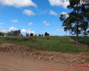 Foto 4 de 4: Area Rural em leilão em Júlio De Castilhos - RS, bairro Júlio de Castilhos — Imóvel Rural | Júlio de Castilhos/RS