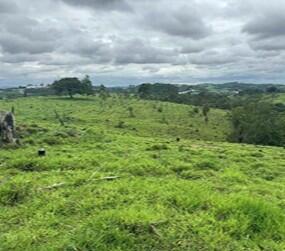 Foto 1 de 4: Area Rural em leilão em Formiga - MG — Imóvel Rural | Formiga/MG