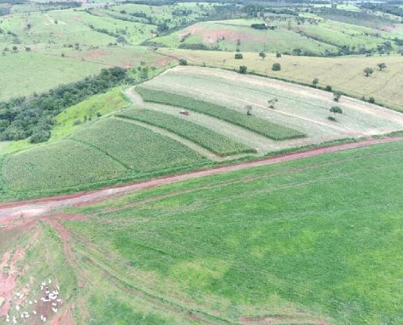 Foto 3 de 8: Area Rural em leilão em Boa Esperança - MG — Imóvel Rural | Boa Esperança/MG