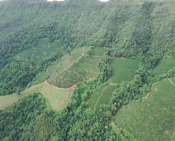 Foto 5 de 8: Area Rural em leilão em Boa Esperança - MG — Imóvel Rural | Boa Esperança/MG