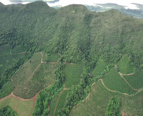 Foto 8 de 8: Area Rural em leilão em Boa Esperança - MG — Imóvel Rural | Boa Esperança/MG