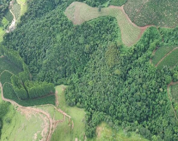 Foto 4 de 8: Area Rural em leilão em Boa Esperança - MG — Imóvel Rural | Boa Esperança/MG