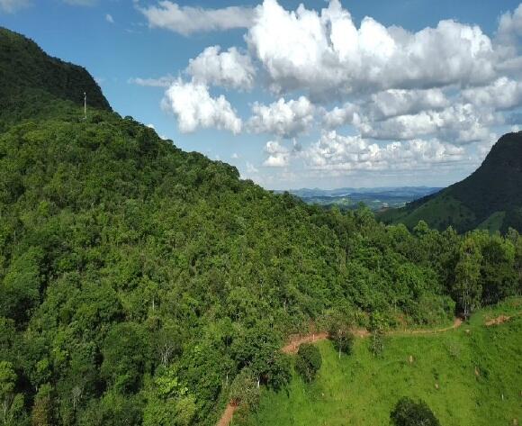 Foto 7 de 8: Area Rural em leilão em Boa Esperança - MG — Imóvel Rural | Boa Esperança/MG
