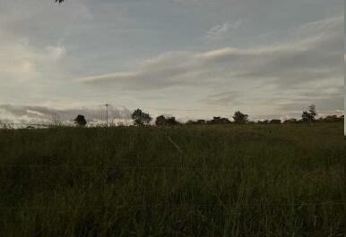 Foto 3 de 4: Area Rural em leilão em Ribeirão Do Largo - BA — Imóvel Rural | Ribeirão do Largo/BA