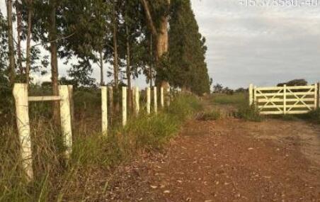 Foto 4 de 4: Area Rural em leilão em Ribeirão Do Largo - BA — Imóvel Rural | Ribeirão do Largo/BA