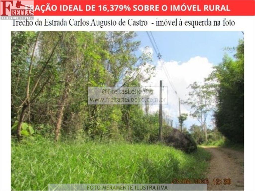 Foto 8 de 9: Area Rural em leilão em Mairiporã - SP, bairro Roseira — Imóvel Rural | Mairiporã/SP