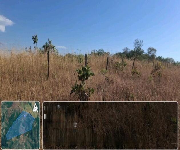 Foto 2 de 4: Area Rural em leilão em Paranã - TO — Imóvel Rural | Paranã/TO