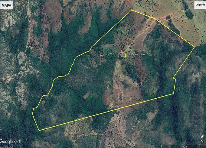 Foto 3 de 4: Area Rural em leilão em Paranã - TO — Imóvel Rural | Paranã/TO