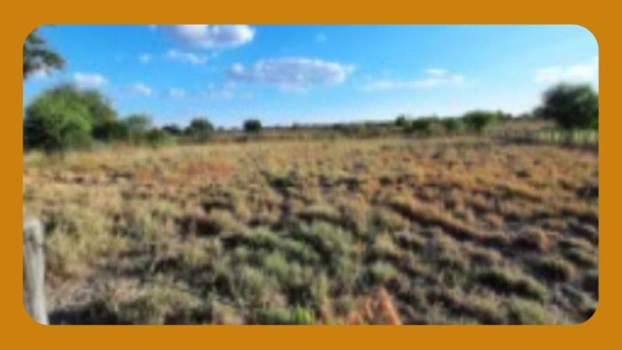 Area Rural em leilão em Paratinga - BA — FAZENDA JUREMA, situada no município de Paratinga/BA, com área de 35 hectares, segundo RGI, tendo na realidade cerca de 10 hectares, segundo informações do executado.