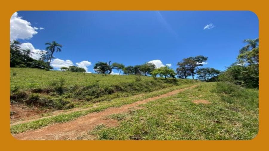 Foto 1 de 2: Imóvel em leilão em Carnaubais - RN — IMÓVEL RUAL DENOMINADO ARRAIAL, LOCALIZADO NO MUNICÍPIO DE CARNAUBAIS/RN. COM 102.3 HECTARES.(81)99680-0102