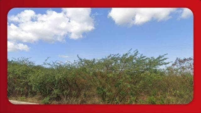 Foto 1 de 3: Area Rural em leilão em Carnaubais - RN — FAZENDA 481 M²  CARNAUBAIS (RN): FAZENDA ANGICOS, S/N. CEP: 59665-000.  INTERMÉDIO E ASSESSORIA PROFISSIONAL ATÉ O REGISTRO DA PROPRIEDADE E POSSE DO BEM! ALGUNS IMÓVEIS ACEITAM ATÉ 59 PARCELAS, CONSULTE!.