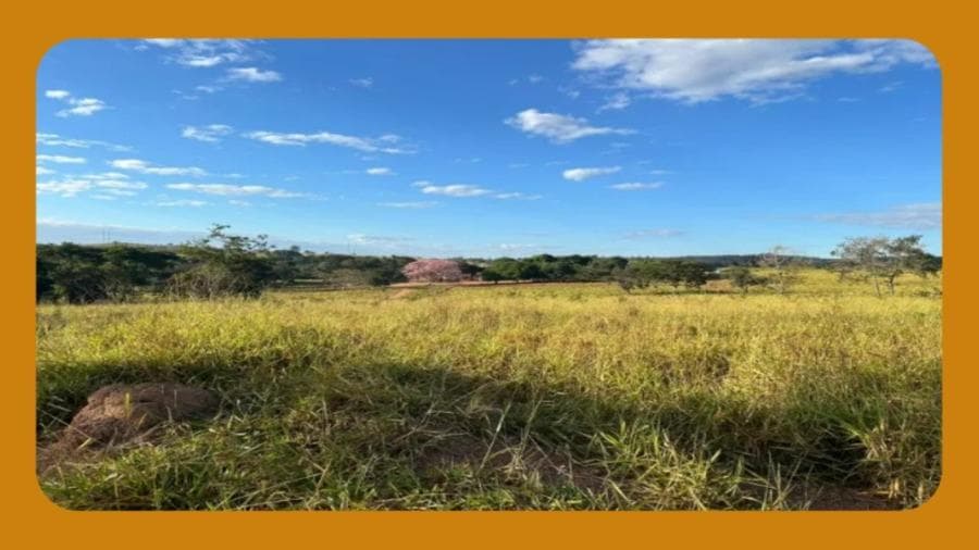 Foto 1 de 2: Terreno em leilão em Passa Quatro - MG — TERRENO RURAL DEMARCADO, SITUADO NA FAZENDA TABUÃO, PASSA QUATRO/MG. MEDINDO 3,63 HECTARES - CONTATO DO VENDEDOR: (81) 99680-0102.