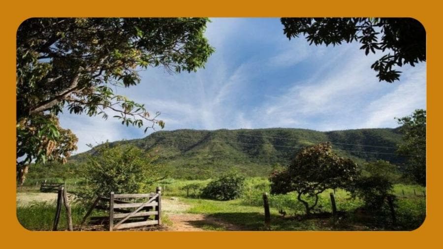 Foto 1 de 2: Area Rural em leilão em Colônia Leopoldina - AL — FAZENDA RENASCER, ANTIGO ENGENHO SANTO ANTÔNIO, COLÔNIA LEOPOLDINA/AL, COM ÁREA TOTAL DE 180,2 HECTARES.__