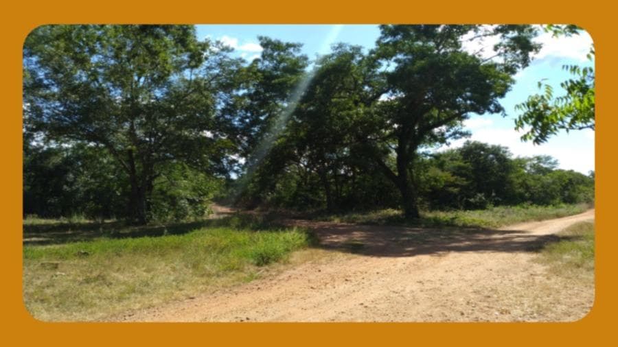 Foto 1 de 2: Area Rural em leilão em Santa Rita De Cassia - BA, bairro Zona Rural — IMÓVEL RURAL DENOMINADO FAZENDA IRAPUÁ, NO LUGAR TABOCAL, NA ZONA RURAL DE SANTA RITA DE CÁSSIA/BA, COM ÁREA TOTAL DE 1.876,00HA.__
