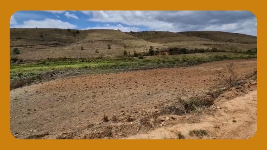 Foto 1 de 2: Area Rural em leilão em Água Preta - PE, bairro Zona Rural de Água Preta — IMÓVEL RURAL DENOMINADO ENGENHO TAMATIÃO, LOCALIZADO PRÓXIMO DISTRITO DE SANTA TEREZINHA, ZONA RURAL DE ÁGUA PRETA/PE. ÁREA TOTAL DE APROXIMADAMENTE 757,96 HECTARES. __
