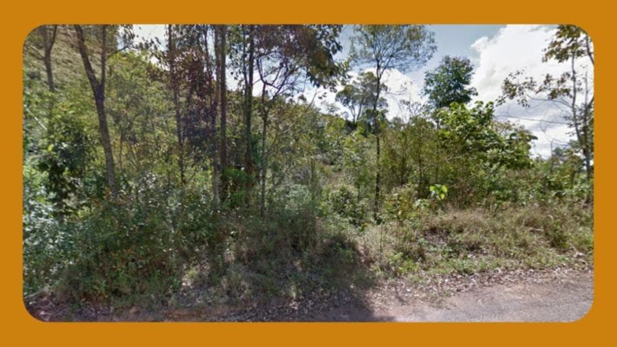 Foto 1 de 2: Area Rural em leilão em Nova Friburgo - RJ, bairro Posse dos Heckerts — ÁREA DE TERRAS PRÓPRIAS, SITUADO NO LUGAR DENOMINADO POSSE DOS HECKERTS, ACESSO PELA RODOVIA MURY-LUMIAR (RJ-142), KM 2,5, À DIREITA NO SENTIDO LUMIAR, NOVA FRIBURGO/RJ.  COM ÁREA TOTAL DE 681.986M², SEM BENFEITORIAS, TERRAS EM MATAS VIRGENS.__
