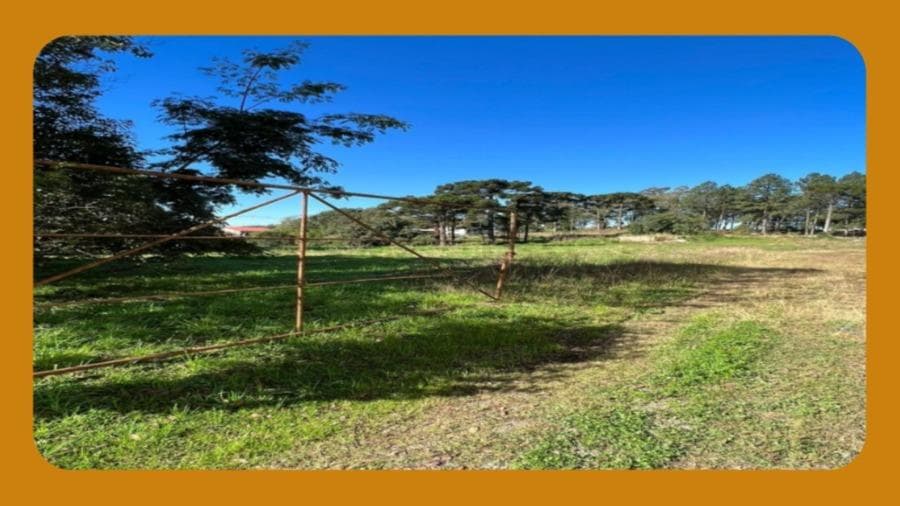 Foto 1 de 2: Terreno em leilão em Caxias Do Sul - RS, bairro Forqueta — UMA ÁREA DE TERRAS FORMADA POR DOIS TERRENOS, SITUADO NA RUA JACOB DOSSIN, FORQUETA,  CAXIAS DO SUL/RS, COM 5.600,00M2.__