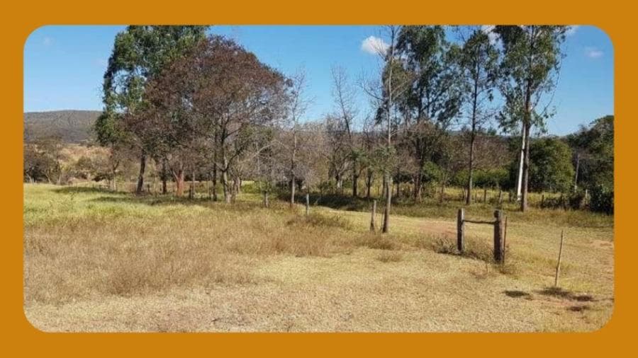Foto 1 de 2: Area Rural em leilão em Chapada Gaúcha - MG, bairro Chapada Gaucha — 1.098,68,00 HA DE TERRAS NO LOCAL DENOMINADO FAZENDA RIACHO FUNDO, CHAPADA GAUCHA/MG.__