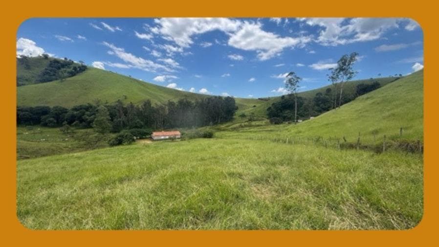 Foto 1 de 2: Area Rural em leilão em Itaueira - PI — IMÓVEL DENOMINADO MORROS, SITUADO NA DATA PERIPERI, NO MUNICIPIO DE ITAUEIRA/PI. COM DIMENSÃO DE 25 HECTARES E BENFEITORIAS.__