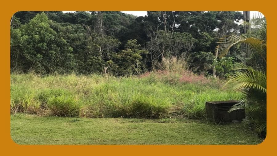 Foto 1 de 2: Area Rural em leilão em Teresópolis - RJ — FRAÇÃO IDEAL DE 758/16.638 AVOS DE UMA ÁREA DE TERRAS PRÓPRIAS, DESMEMBRADA DE MAIOR PORÇÃO DA DENOMINADA GRANJA COMARY, TERESÓPOLIS/RJ, COM APROX. 658M². --