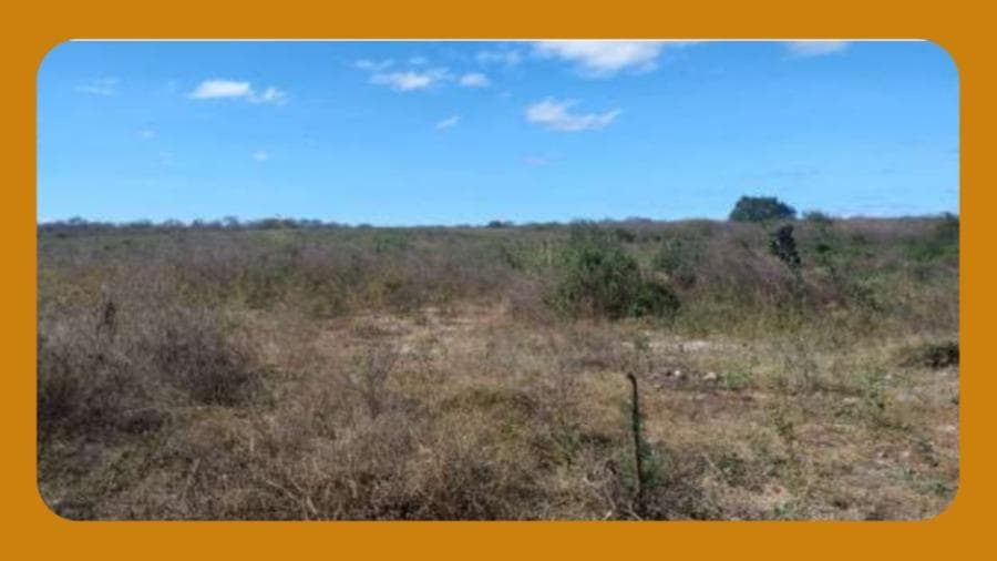 Foto 1 de 3: Area Rural em leilão em Araripina - PE — GLEBA DE TERRAS, COM A ÁREA REMANESCENTE DE 239.546,21 M², LOCALIZADA NO SÍTIO BATINGA, S/N, ZONA RURAL, ARARIPÍNA/PE. CONTÉM  UMA CASA EM RUINAS E UMA CISTERNA DE CONCRETO..