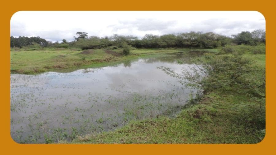 Foto 1 de 2: Area Rural em leilão em Cachoeira Do Sul - RS, bairro Ferreira — UMA ÁREA DE TERRAS COM 27HA, NO LUGAR DENOMINADO PASSO DO SERINGA, DISTRITO DE FERREIRA, MUNICIPIO DE CACHOEIRA DO SUL/RS.__