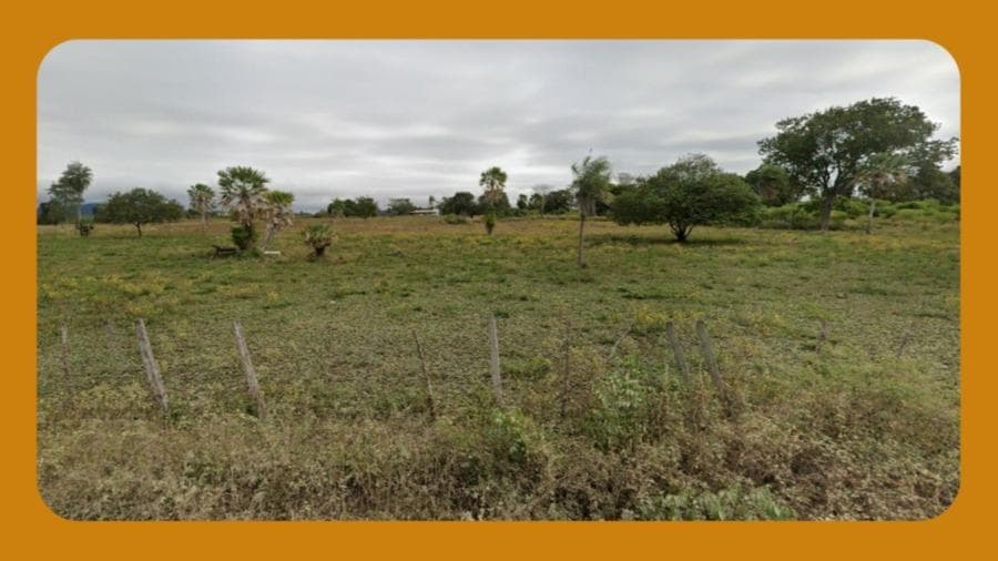 Foto 1 de 2: Area Rural em leilão em Santana Da Vargem - MG — FRAÇÃO DE 20% DE UMA SORTE DE TERRAS COM ÁREA DE 15,6785 HA, SITUADA NO LUGAR DENOMINADO MANDIOCA, DA FAZENDA DA MATA, CAJURU E BOCAINA, DISTRITO DE SANTANA DA VARGEM/MG.__