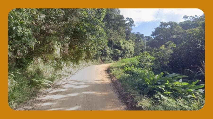 Foto 1 de 2: Area Rural em leilão em Brusque - SC, bairro Poço Fundo — ÁREA DE TERRA LOCALIZADA NO BAIRRO POÇO FUNDO, NO MUNICÍPIO DE BRUSQUE/SC. O REFERIDO TERRONO ESTÁ SITUADO EM UMA ÁREA DE PRESERVAÇÃO PERMANENTE COM VEGETAÇÃO NATIVA. ÁREA TOTAL DE 160.000,00M²