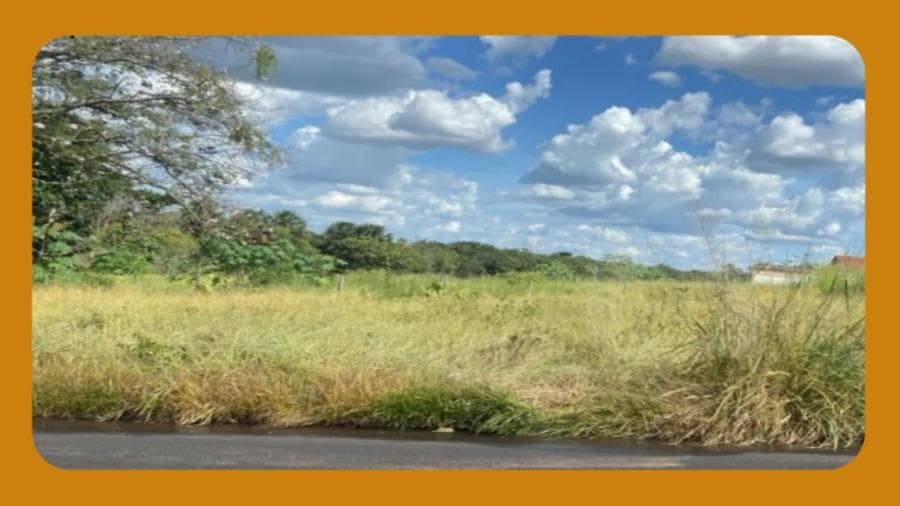 Foto 1 de 2: Terreno em leilão em Araripina - PE — LOTE DE TERRENO Nº 10, LOCALIZADO NO DISTRITO INDUSTRIAL, EM ARARIPINA/PE, COM ÁREA TOTAL DE 4.279,17 M², EXISTE UM PRÉDIO EDIFICADO NO LOTE.__