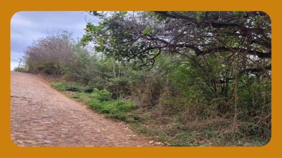 Foto 1 de 3: Terreno em leilão em Crato - CE, bairro Muriti — TERRENO PRÓPRIO PARA CONSTRUÇÃO, NA RUA MOACIR GONDIM LÓSSIO, MURITI, CRATO/CE. COM ÁREA TOTAL DE 2.014M². __