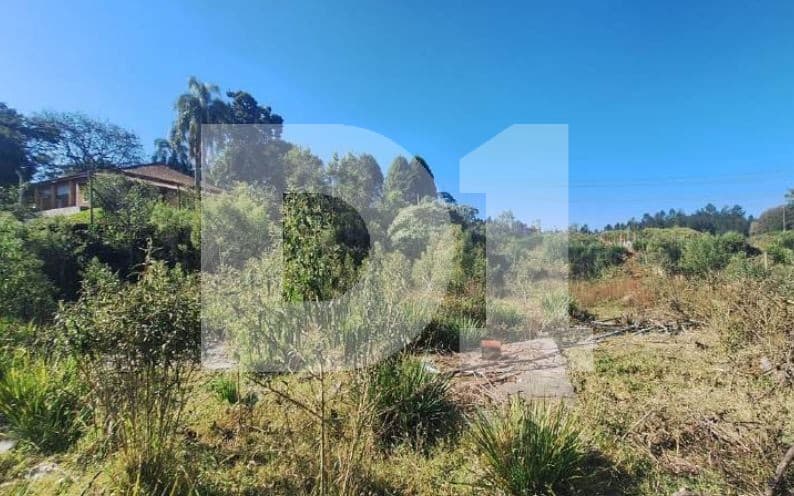 Foto 5 de 16: Area Rural em leilão em São Roque - SP, bairro Do Carmo — Do Carmo (Canguera) - São Roque - SP - Sitio - 27.261,00 m² (a.t.)