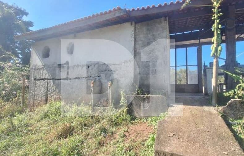 Foto 7 de 16: Area Rural em leilão em São Roque - SP, bairro Do Carmo — Do Carmo (Canguera) - São Roque - SP - Sitio - 27.261,00 m² (a.t.)
