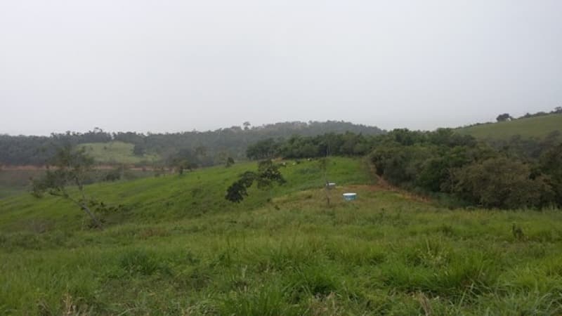 Foto 2 de 6: Area Rural em leilão em Anchieta - ES — LOTE 001 Fazenda Ponta Grossa, Anchieta-ES