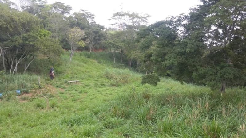 Foto 3 de 6: Area Rural em leilão em Anchieta - ES — LOTE 001 Fazenda Ponta Grossa, Anchieta-ES