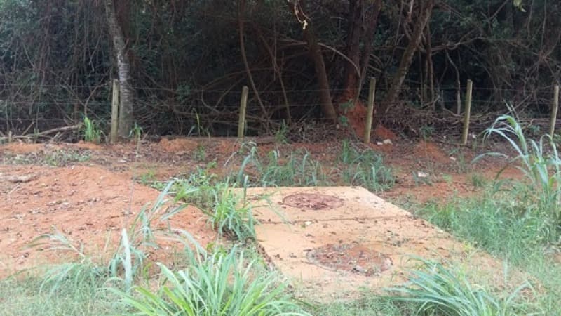 Foto 4 de 6: Area Rural em leilão em Anchieta - ES — LOTE 001 Fazenda Ponta Grossa, Anchieta-ES