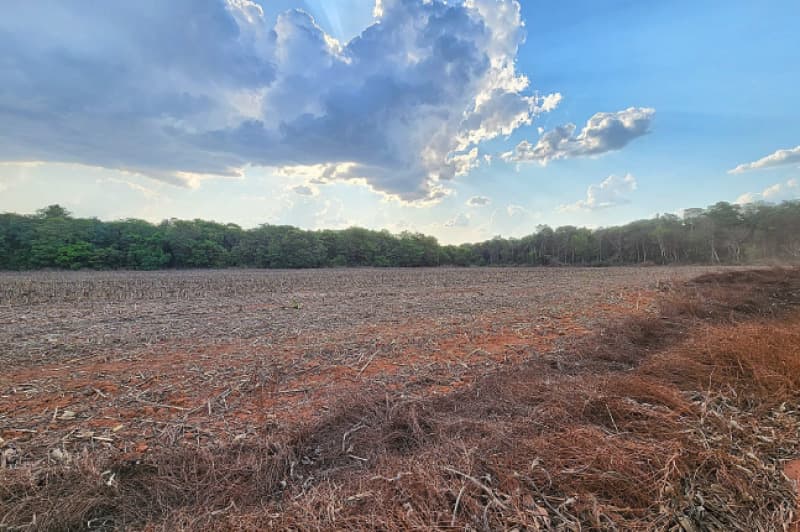 Foto 3 de 6: Area Rural em leilão em Ipiranga Do Norte - MT — LOTE 001 IMÓVEL RURAL COM ÁREA DE 83,7744HA, LOTEAMENTO RURAL ELDORADO, EM IPIRANGA DO NORTE/MT