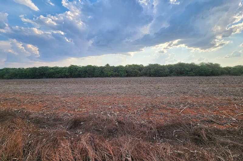Foto 4 de 6: Area Rural em leilão em Ipiranga Do Norte - MT — LOTE 001 IMÓVEL RURAL COM ÁREA DE 83,7744HA, LOTEAMENTO RURAL ELDORADO, EM IPIRANGA DO NORTE/MT