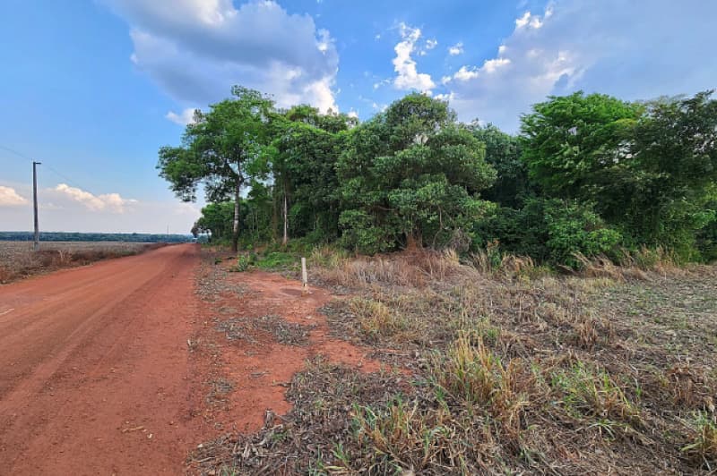 Foto 5 de 6: Area Rural em leilão em Ipiranga Do Norte - MT — LOTE 001 IMÓVEL RURAL COM ÁREA DE 83,7744HA, LOTEAMENTO RURAL ELDORADO, EM IPIRANGA DO NORTE/MT